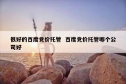 很好的百度竞价托管  百度竞价托管哪个公司好