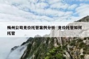 梅州公司竞价托管案例分析  竞价托管如何托管