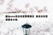 唐山sem竞价托管费用情况  做竞价托管需要多少钱