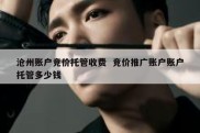沧州账户竞价托管收费  竞价推广账户账户托管多少钱