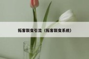 拓客裂变引流（拓客裂变系统）