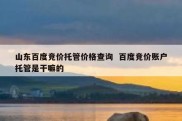 山东百度竞价托管价格查询  百度竞价账户托管是干嘛的