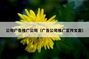 公司广告推广公司（广告公司推广宣传文案）