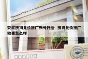 娄底搜狗竞价推广账号托管  搜狗竞价推广效果怎么样