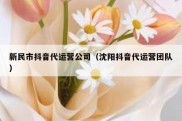 新民市抖音代运营公司（沈阳抖音代运营团队）