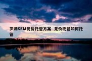罗湖SEM竞价托管方案  竞价托管如何托管