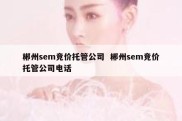 郴州sem竞价托管公司  郴州sem竞价托管公司电话