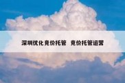 深圳优化竞价托管  竞价托管运营
