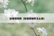 短视频矩阵（短视频矩阵怎么做）