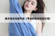 南沙竞价托管外包（专业的竞价托管公司）