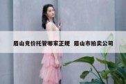 眉山竞价托管哪家正规  眉山市拍卖公司