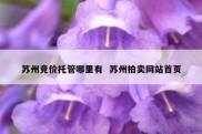 苏州竞价托管哪里有  苏州拍卖网站首页