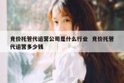 竞价托管代运营公司是什么行业  竞价托管代运营多少钱