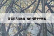 靠谱的竞价托管  竞价托管哪家便宜