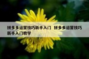 拼多多运营技巧新手入门  拼多多运营技巧新手入门教学