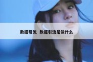 数据引流  数据引流是做什么