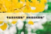 专业竞价托管推广  好的竞价托管推广