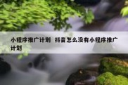 小程序推广计划  抖音怎么没有小程序推广计划