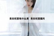 竞价托管有什么用  竞价托管图片