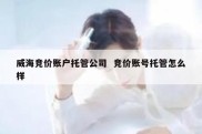 威海竞价账户托管公司  竞价账号托管怎么样