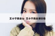 王小宁商业ip  王小宁商业课价格