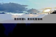 竞价托管1  竞价托管深圳