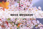 吸粉引流  吸粉引流违法吗