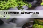 永州竞价账号托管  长沙竞价账户托管哪家好