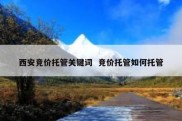 西安竞价托管关键词  竞价托管如何托管