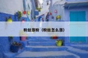 粉丝涨粉（粉丝怎么涨）