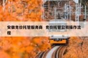 安徽竞价托管服务商  竞价托管公司操作流程