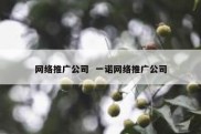 网络推广公司  一诺网络推广公司