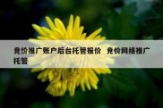 竞价推广账户后台托管报价  竞价网络推广托管