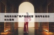 衡阳竞价推广账户后台托管  衡阳专业竞价优化服务