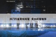 冷门行业竞价托管  竞价托管推荐