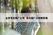 北京竞价推广公司  竞价推广公司哪家强