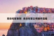 竞价托管策划  竞价托管公司操作流程