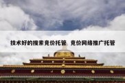 技术好的搜索竞价托管  竞价网络推广托管