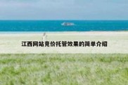 江西网站竞价托管效果的简单介绍
