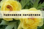 代运营抖音服务方案  抖音代运营方案范本