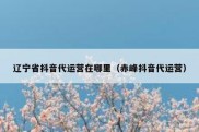 辽宁省抖音代运营在哪里（赤峰抖音代运营）