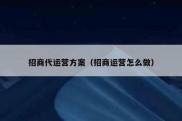 招商代运营方案（招商运营怎么做）