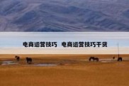 电商运营技巧  电商运营技巧干货