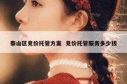 泰山区竞价托管方案  竞价托管服务多少钱