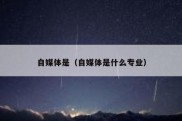 自媒体是（自媒体是什么专业）