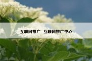 互联网推广  互联网推广中心