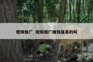 视频推广  视频推广赚钱是真的吗