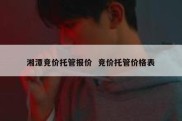 湘潭竞价托管报价  竞价托管价格表