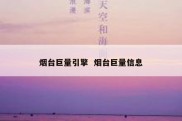 烟台巨量引擎  烟台巨量信息