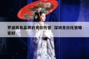 罗湖具有品牌的竞价托管  深圳竞价托管哪家好